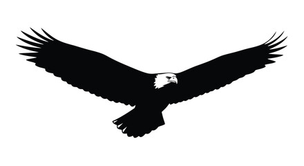 Abstract geometric silhouette design with vibrant color accents and typographic elements silhouette