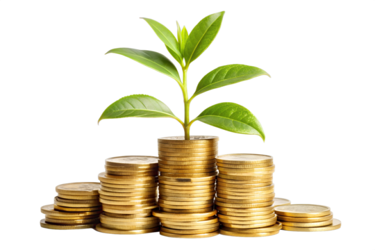 Stacks of gold coins supporting plant growth symbolizing financial prosperity Image
