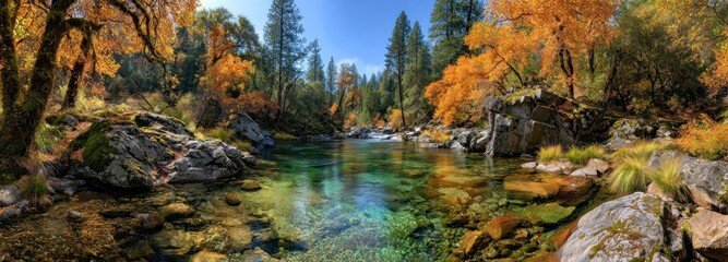 Autumnal forest river landscape