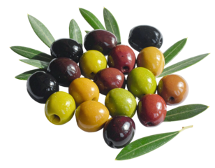 Assorted olives cluster with leafy sprigs