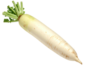 White daikon radish with green leaves, isolated