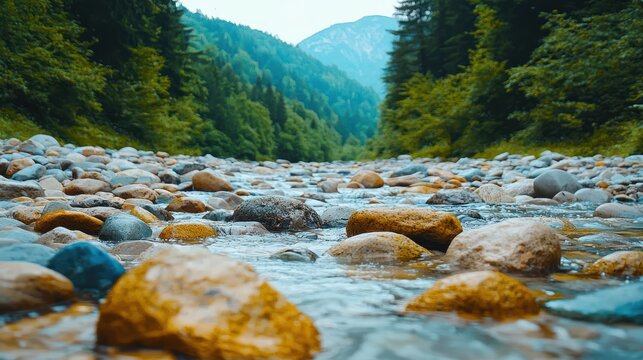 Clear water flows over colorful river stones within a vibrant, forested mountain valley