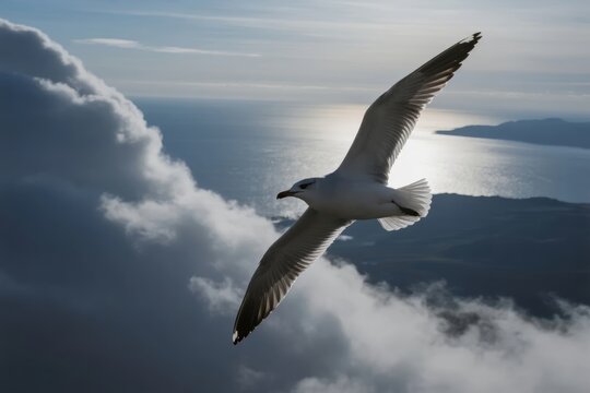 Seagull soaring above clouds with ocean and mountains in the background