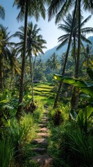 Obraz premium Scenic path through lush tropical landscape