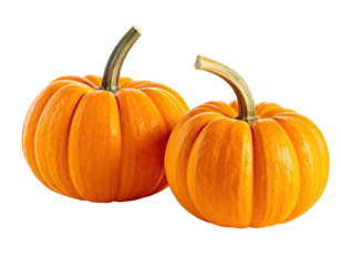 Two small orange pumpkins, curving stems, black background
