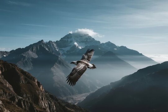 A bird of prey soars over a majestic mountain range with snow-capped peaks and misty valleys under a clear blue sky.