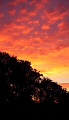Fototapeta premium Dark trees stand against a vibrant sunset sky, sunset, evening