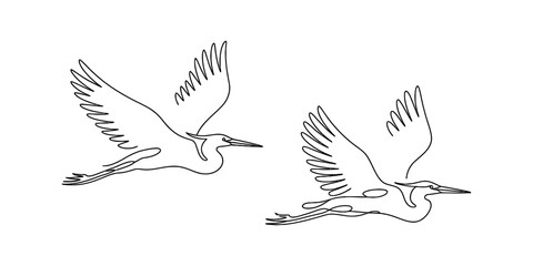 Elegant continuous line art drawing of two flying egrets. minimalist vector illustration of graceful birds in flight, isolated on a white backdrop.