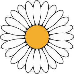Simple Isolated White Daisy Flower with Yellow Center on Transparent Art Backdrop