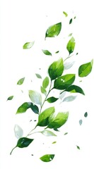 Delicate sprig with vibrant green leaves, some lighter, others darker,  scattered in a gentle breeze, painted in a watercolor style
