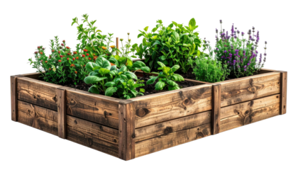 Raised wooden garden bed brimming with vegetables and herbs
