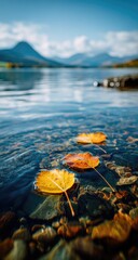 Three autumn leaves float on calm, shallow lake water over a pebbled bottom; distant mountains under a clear sky