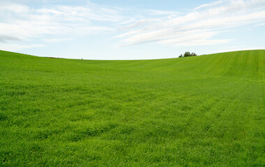 A wide panoramic landscape featuring a bright blue sky and gently rolling green hills covered in fresh grass, creating a refreshing and peaceful outdoor scene perfect for nature, travel, environmental