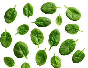 Leafy greens float on black. Fresh, healthy, isolated