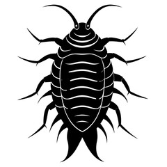Vector drawing of woodlice isolated