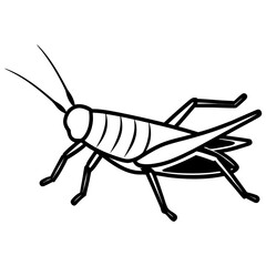 Stylized Grasshopper Illustration