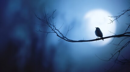 Bird perched on a bare tree branch, against a luminous full moon in a blue-hued night sky, serene nature scene, copy space