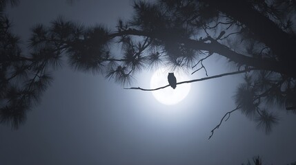 Owl silhouette on a pine tree branch, with full moon in misty blue night sky, mysterious nature scene, copy space