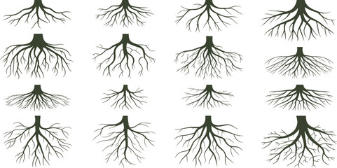 Collection of natural tree root silhouettes featuring branching underground structures, organic root patterns for botanical illustration, nature design, decorative vector artwork © Md