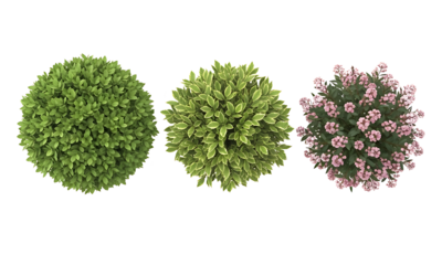 Three round bushes with lush foliage on a transparent background perfect for landscape design