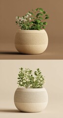 Two images showcasing a textured, round, beige planter with horizontally ridged detailing, containing small flowering green plants; one planter is slightly darker beige than the other.