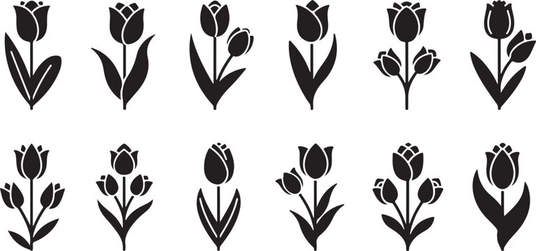 Collection of beautiful spring tulip flowers silhouettes set illustration symbolizing growth nature botanical design and floral decorative elements