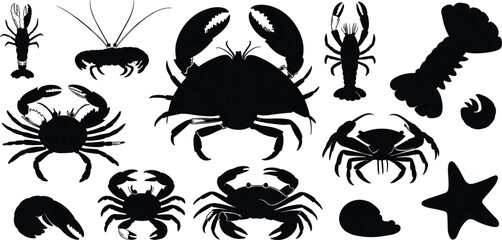 Black and white detailed illustration of sea creatures with crab lobster shrimp starfish shell marine seafood drawing collection underwater design