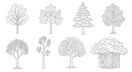 Outline drawings of various tree types in a set © Muhammadagil