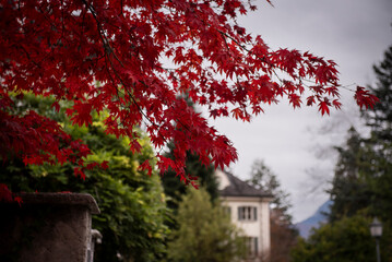 The city of Domodossola and Vigezzina railway