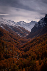The beauty autumn in Alpine Valley, Piedmont, Italy