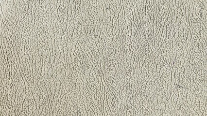 Rough Beige Synthetic Leather Grain Texture