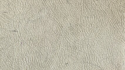 Cracked White Leather Texture Macro Background