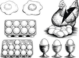 Black and white sketch illustration of chicken with eggs, egg cartons, and fried eggs in vintage hand drawn farm style