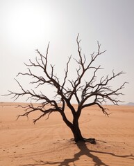Desert Tree Silhouette: A lone, skeletal tree stands in stark contrast against the vast expanse of a sun-scorched desert landscape, a testament to resilience and the unforgiving power of nature. 