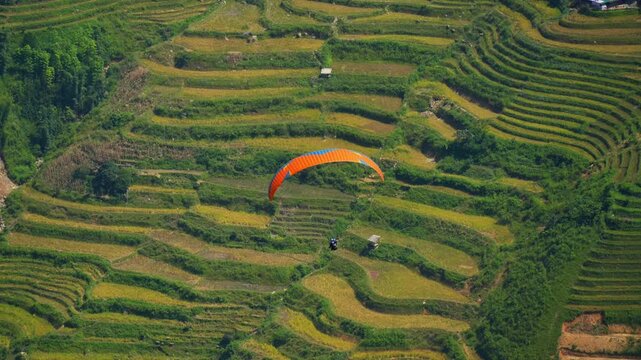 Colorful paragliding athletes on golden rice terraces in Khau Pha pass, Mu Cang Chai town near Sapa city, North of Vietnam. Beautiful terraced rice field in harvest season in Yen Bai province.
