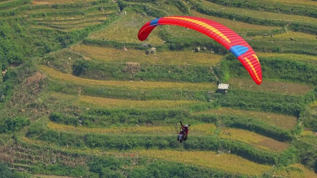 Colorful paragliding athletes on golden rice terraces in Khau Pha pass, Mu Cang Chai town near Sapa city, North of Vietnam. Beautiful terraced rice field in harvest season in Yen Bai province.