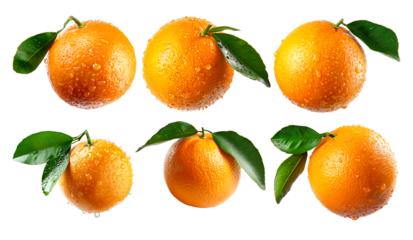 Set of orange with water droplets represents natural, vibrant citrus goodness isolated on a white transparent background