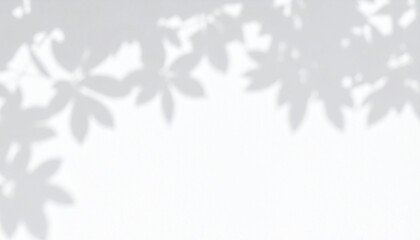 Obraz premium shadow overlay effect of realistic abstract natural tree leaves shadow on white wall background, summer sunlight abstract shadow overlay