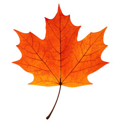 Fototapeta premium Autumn Maple Leaf Close-Up: Vibrant Orange Foliage Against a Dark Background, Fall Season Details, Nature Photography, Warm Colors, Leaf Veins, Seasonal Imagery, Glowing Light, Detailed Texture, Autum