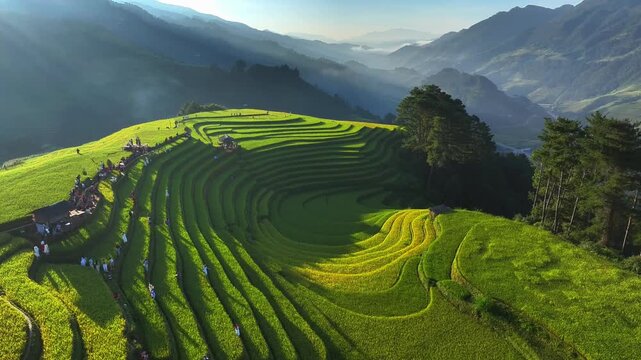 Aerial view of golden rice terraces at Mu Cang Chai town near Sapa city, North of Vietnam. Beautiful terraced rice field in harvest season in Yen Bai province. Travel and landscape concept.