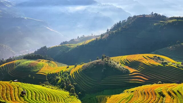 Aerial view of golden rice terraces at Mu Cang Chai town near Sapa city, North of Vietnam. Beautiful terraced rice field in harvest season in Yen Bai province. Travel and landscape concept.