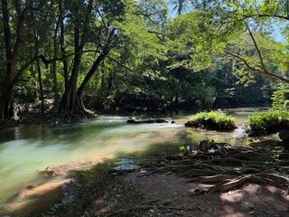 Obraz premium waterfall in the forest at Khao Yai, Thailand 