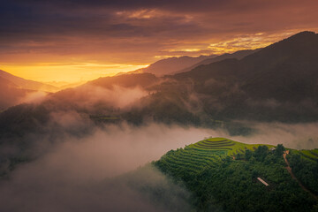 Aerial view of golden rice terraces in Hu Tru Lin hill at Mu Cang Chai town near Sapa city, North...