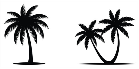 Black silhouettes of two palm trees on a white background Keywords: palm tree, silhouette, black, white background, tropical