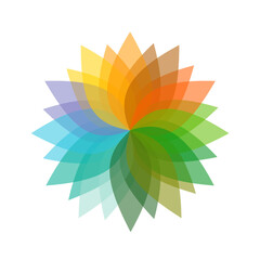abstract colorful flower