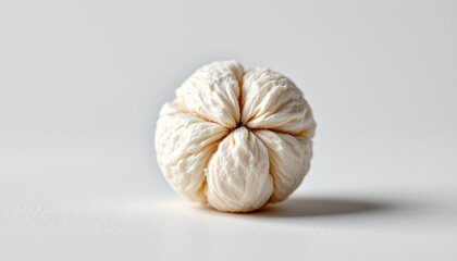 A round, spherical structure resembling an orange, placed against a plain background