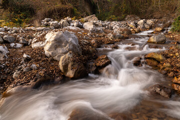 Picturesque small stream in the forest.