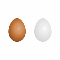 two eggs on white background