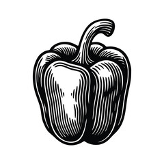 classic bell pepper vegetable illustration.