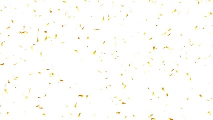  gold confetti rain effect overlay alpha channel. Confetti Party Popper Explosion Animation. Confetti White Background. Confetti Falling Isolated  transparent bg.